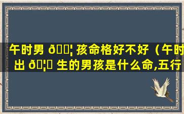 午时男 🐦 孩命格好不好（午时出 🦍 生的男孩是什么命,五行缺什么）